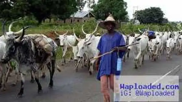 20yr old herdsman arrested for stabbing farmer to death in Nassarawa